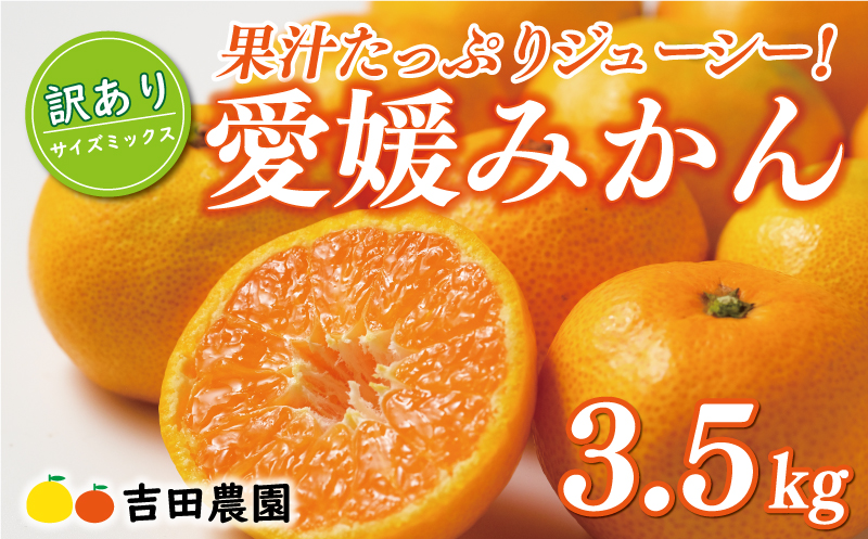 先行予約 訳あり 愛媛みかん 3.5kg 7000円 愛媛 みかん 温州みかん こたつ みかん mikan 蜜柑 ミカン 家庭用 産地直送 国産 農家直送 糖度 期間限定 数量限定 特産品 ゼリー ジュース アイス 人気 限定 甘い フルーツ 果物 柑橘 先行 事前 予約 受付 ビタミン 美味しい おいしい サイズ ミックス 愛南町 愛媛県 吉田農園