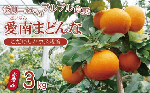 先行 予約 贈答用 愛南 まどんな 約3kg 【 赤秀品 】 みかん 20000円 愛果28号 紅まどんな 同品種 あいか アイカ 高級 人気 ブランド 柑橘 果物 フルーツ ハウス栽培 施設栽培 ギフト プレゼント 数量限定 期間限定 産地直送 国産 農家直送 特産品 お取り寄せ mikan 蜜柑 ミカン マドンナ スマイルカット 甘い おいしい ゼリー ぷるぷる 愛南町 愛媛県 果樹園みどり