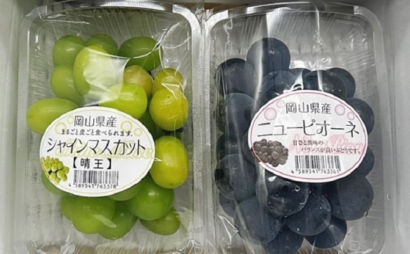 岡山県瀬戸内市のふるさと納税 ぶどう 2025年 先行予約 旬のぶどう詰合せ 2種2パックセット(ニューピオーネ1房約300g×1P、シャインマスカット晴王1房約300g×1P)
