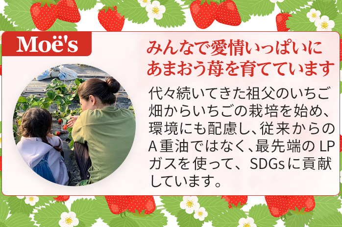 福岡県大木町のふるさと納税 いちご あまおう 大木町産 約270g×4パック 合計1080g 【2025年1月～3月に順次出荷予定】 CB223