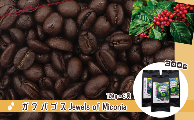 【香川県丸亀市】50度お湯洗い焙煎豆 ガラパゴス Jewels of Miconia