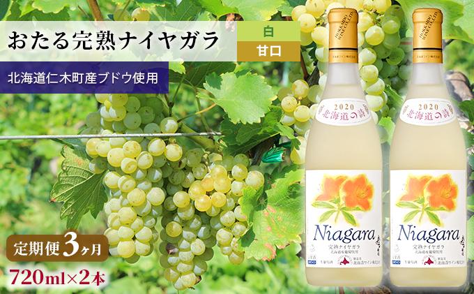 3ヵ月 定期便 白ワイン720ml×2本「
