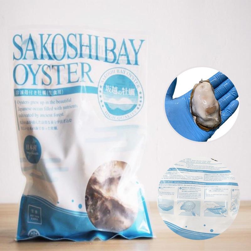 兵庫県赤穂市のふるさと納税 生食OK 坂越かき 殻付き生牡蠣12個入り3パック【冷凍】 生牡蠣 かき カキ 殻付 生食 国産 兵庫県 赤穂市
