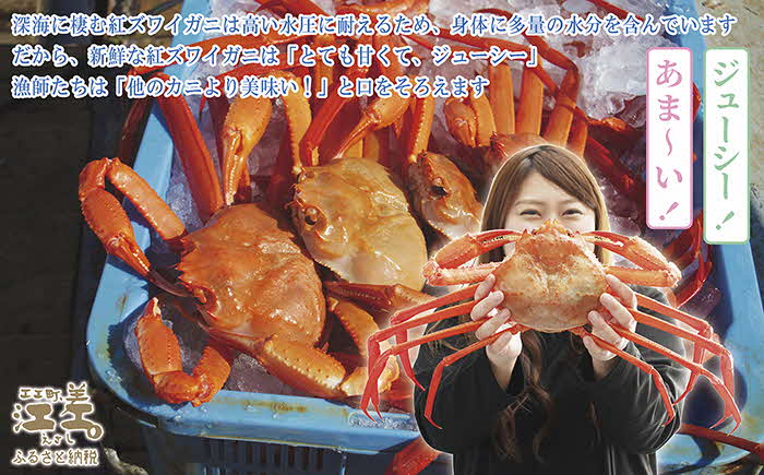 3～4月限定出荷／活発送！【特大】『北海道北前蟹』タグ付き特選