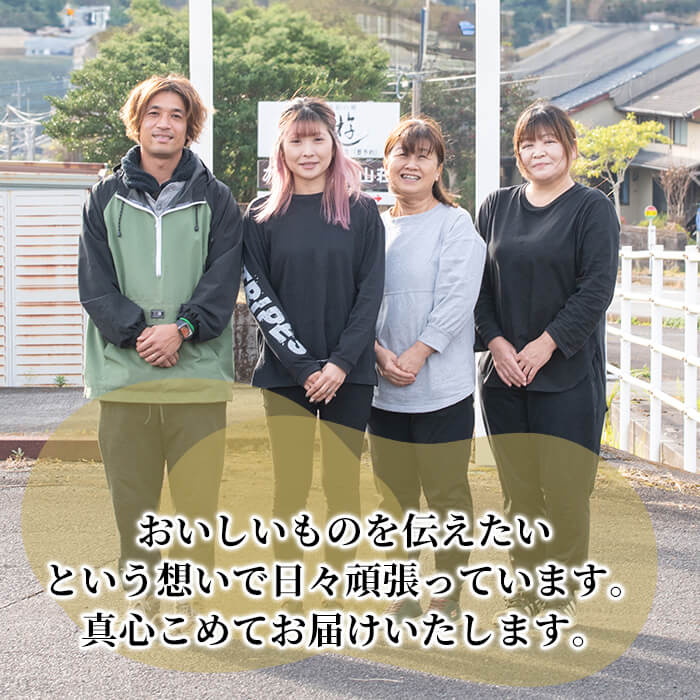 鹿児島県霧島市のふるさと納税 K-193-D-S 《セゾン限定》完熟干し芋 ＜3種食べ比べセット＞紅はるか250g×2袋、シルクスイート200g×1袋、安納芋200g×1袋・合計900g【フレッシュジャパン鹿児島】国産 霧島市 鹿児島県産 熟成 ほしいも 干しいも 干し芋 芋 いも さつまいも さつま芋 サツマイモ 熟成 スイーツ おやつ 常温