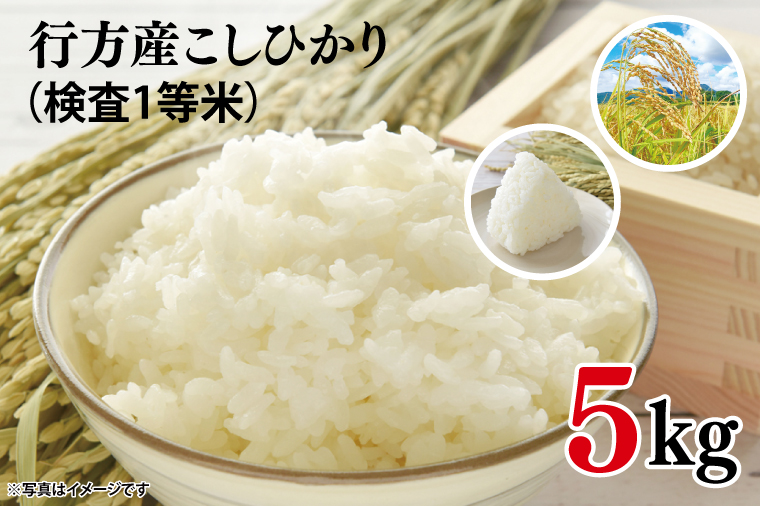 茨城県行方市のふるさと納税 CU-30-1　★令和6年度産★行方産こしひかり 5kg(検査1等米)