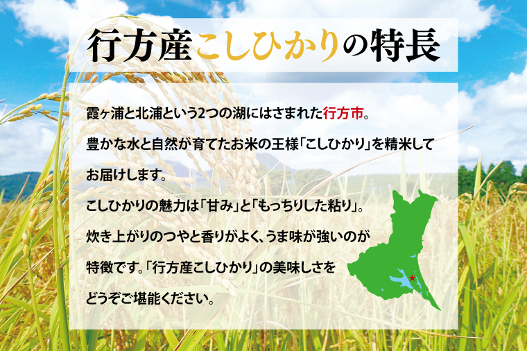 茨城県行方市のふるさと納税 CU-30-1　★令和6年度産★行方産こしひかり 5kg(検査1等米)