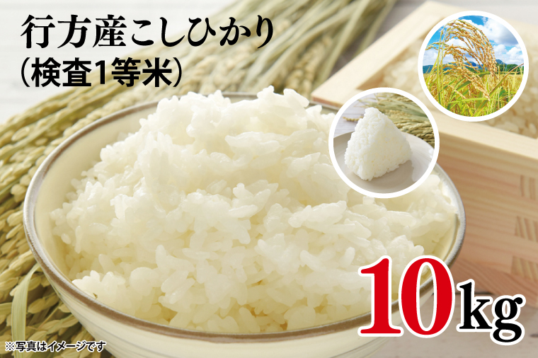 茨城県行方市のふるさと納税 CU-31-1　★令和6年度産★行方産こしひかり 10kg(検査1等米)