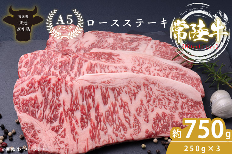 最高級A4.A5ランク 常陸牛ロースステーキ750ｇ（250g×3）【人気肉 お肉 牛肉 和牛 黒毛和牛 国産黒毛和牛 ロース肉 ステーキ 国産牛 焼肉 焼き肉 バーベキュー BBQ A5 ブランド牛】(CR002)