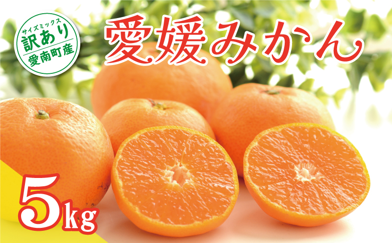 先行予約 訳あり 愛媛みかん 5kg 7000円 温州みかん こたつ みかん 温州 みかん mikan 蜜柑 愛媛 ミカン 完熟 家庭用 産地直送 国産 農家直送 糖度 期間限定 数量限定 特産品 ゼリー ジュース アイス 人気 限定 甘い 果実 果肉 フルーツ 果物 柑橘 先行 事前 予約 受付 ビタミン 健康 美味しい おいしい ジューシー サイズ ミックス くらもとファーム 愛南町 愛媛県