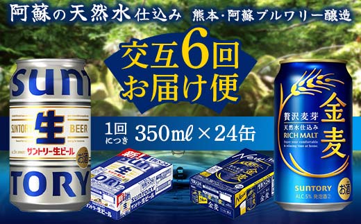 yF{ÓzFK7-0172_yTg[r[E6ցze350ml ×24{ F{ Ó r[ Mtg 蕨  AR[