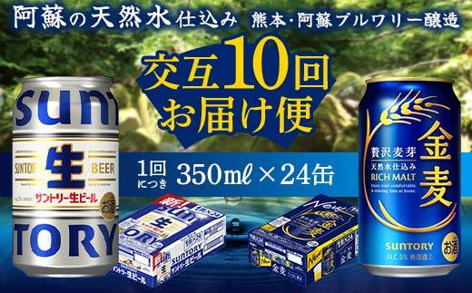yF{ÓzFK7-0174_yTg[r[E10ցze350ml ×24{ F{ Ó r[ Mtg 蕨  AR[