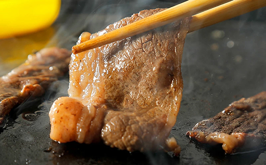 神奈川県南足柄市のふるさと納税 【国産希少牛】 相州牛（すき焼き用） 500g 南足柄ブランド 国産牛 肉 ふるさと納税【すき焼き 牛肉 お肉 ブランド牛 神奈川県 南足柄市 】