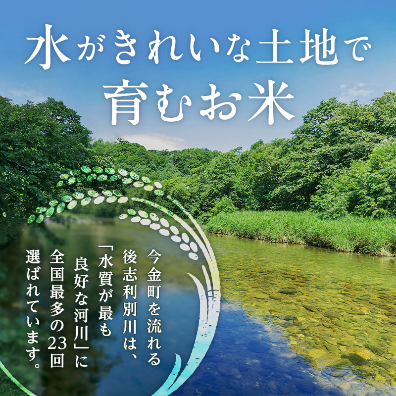からだプラン ひとくちセサミン 小魚 – MDホールディングス