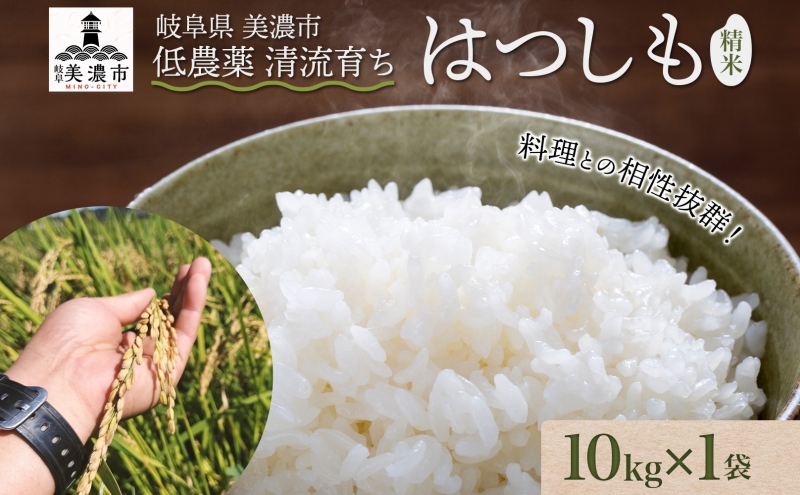 令和6年産 低農薬 清流育ち はつしも 精米 10kg×1袋 新米 お米 精白米 白米 米 ごはん 米 ご飯 ハツシモ あっさり ふっくら ブランド米  大粒 幻の米 お取り寄せ 自家用 贈答用 贈り物 御礼 産地直送 送料無料 美濃グリーン 岐阜県 美濃市