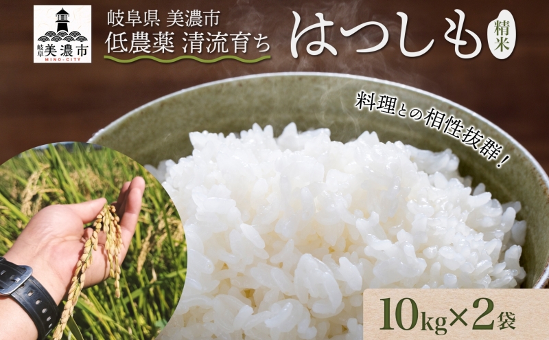 令和6年産 低農薬 清流育ち はつしも 精米 10kg×2袋 計20kg 新米 お米 精白米 白米 米 ごはん 米 ご飯 ハツシモ あっさり  ブランド米 大粒 幻の米 お取り寄せ 自家用 贈答用 贈り物 御礼 産地直送 送料無料 美濃グリーン 岐阜県 美濃市