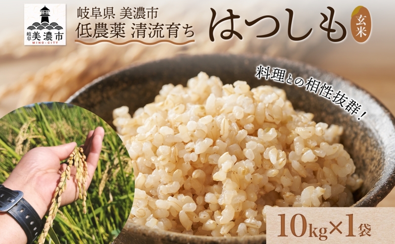 令和6年産 低農薬 清流育ち はつしも玄米 10kg×1袋 新米 お米 米 ごはん ご飯 ハツシモ あっさり ふっくら ブランド米 大粒 幻の米  お取り寄せ 自家用 贈答用 贈り物 御礼 プレゼント 産地直送 産直 送料無料 美濃グリーン 岐阜県 美濃市（岐阜県美濃市） | ふるさと納税 ...