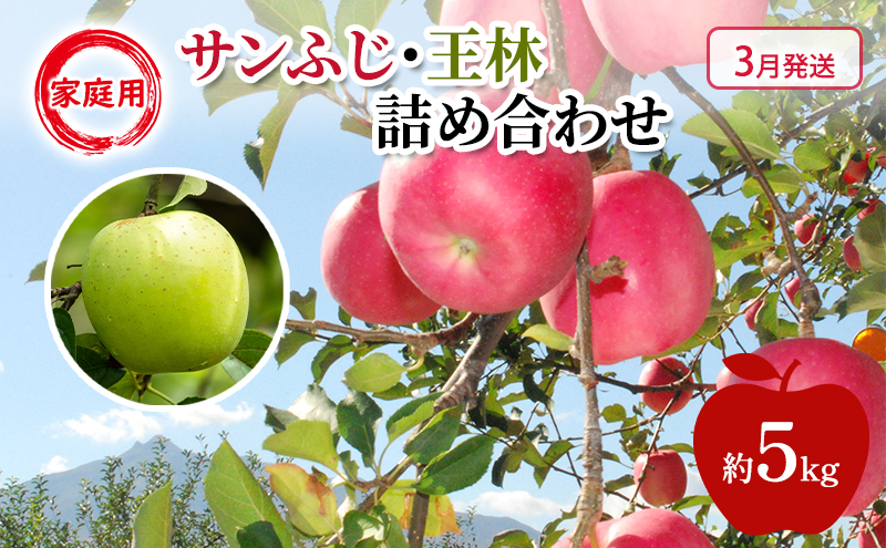 りんご 【 3月発送 】 家庭用 サンふじ