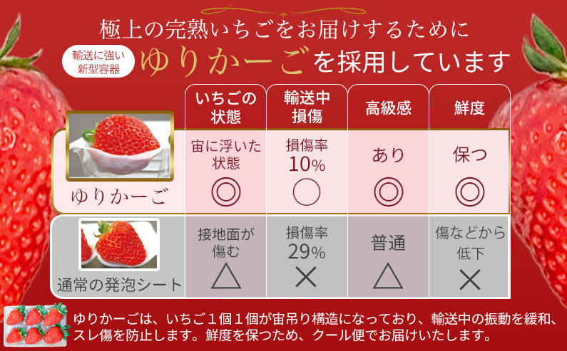 奈良県葛城市のふるさと納税 （冷蔵）【令和 6年 12月から順次発送】 古都華 300g×2 ／ 丸笑いちご園 今朝摘み フルーツ 苺 イチゴ 果物 新鮮 完熟 朝採り 高級 甘い 奈良県 葛城市