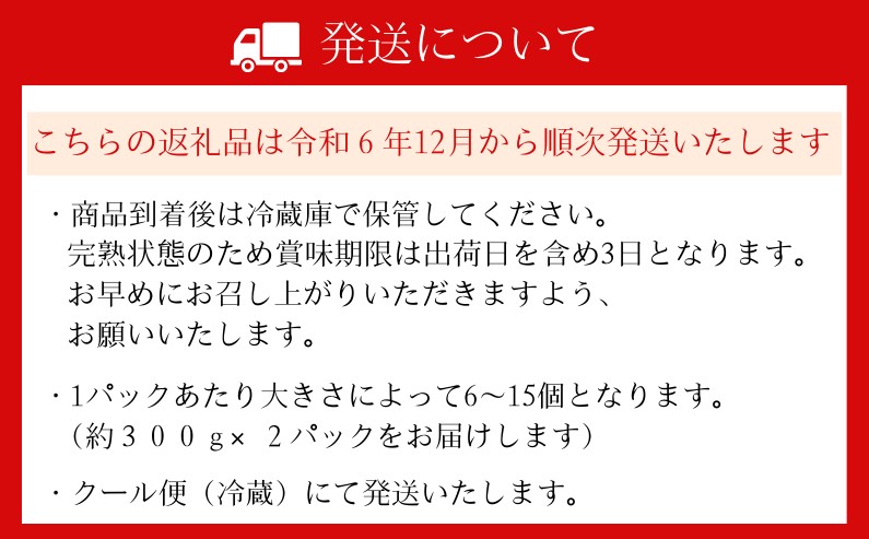 奈良県葛城市のふるさと納税 （冷蔵）【令和 6年 12月から順次発送】 古都華 300g×2 ／ 丸笑いちご園 今朝摘み フルーツ 苺 イチゴ 果物 新鮮 完熟 朝採り 高級 甘い 奈良県 葛城市