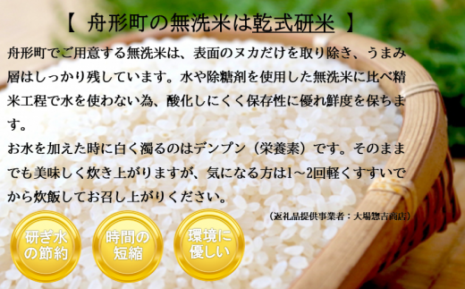 山形県舟形町のふるさと納税 【令和6年産米】はえぬき10kg（5kg×2袋）　選べる 精米or無洗米