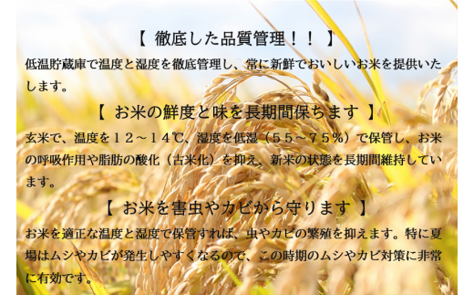 山形県舟形町のふるさと納税 【令和6年産米】はえぬき10kg（5kg×2袋）　選べる 精米or無洗米