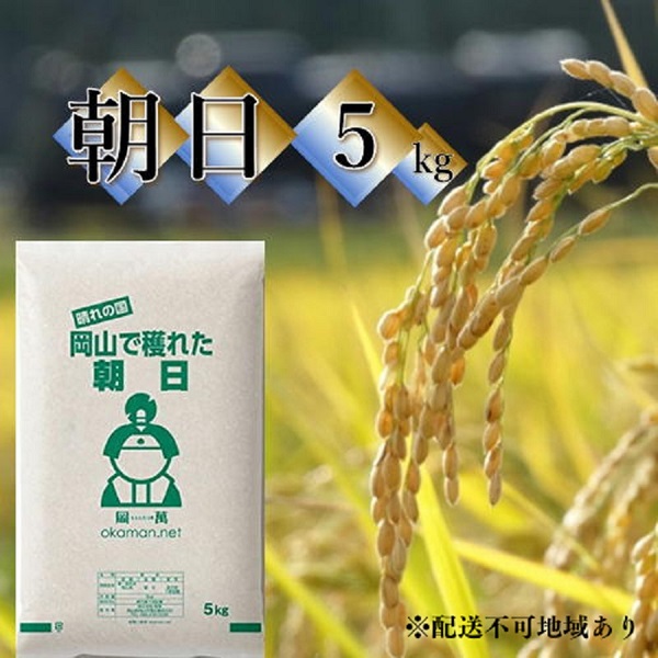 令和6年産 朝日 5kg (5kg×1袋) 岡山県産 精米 お米 / 岡山県玉野