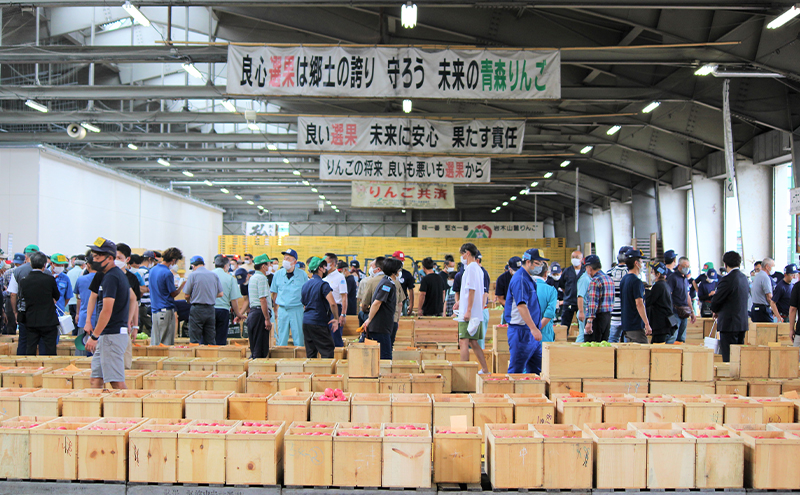 青森県鶴田町のふるさと納税 りんご 【 3月発送 】 家庭用 サンふじ ・ 王林 詰め合わせ 約 5kg