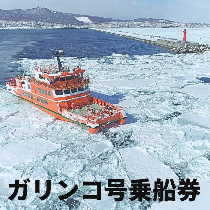 ガリンコ号3 IMERU 冬期運航 流氷クルーズ乗船券