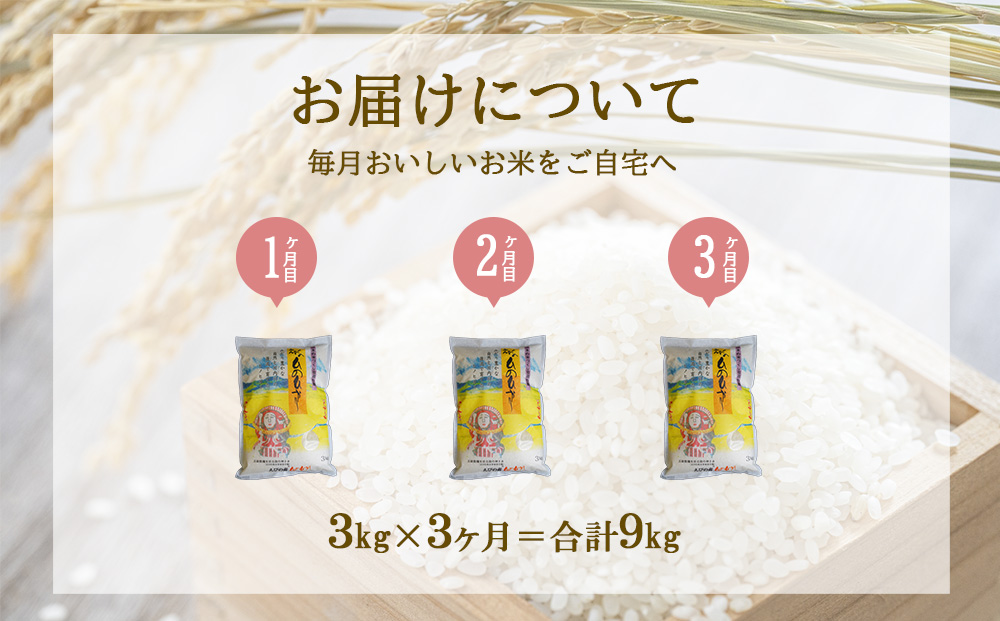 3ヶ月定期便】新米 令和6年産 えびの産 ひのひかり 3kg×3ヶ月 合計 9kg 定期便 米 お米 白米 ヒノヒカリ おにぎり お弁当 九州 宮崎県  特選米 冷めても美味しい 送料無料 / 宮崎県えびの市 | セゾンのふるさと納税