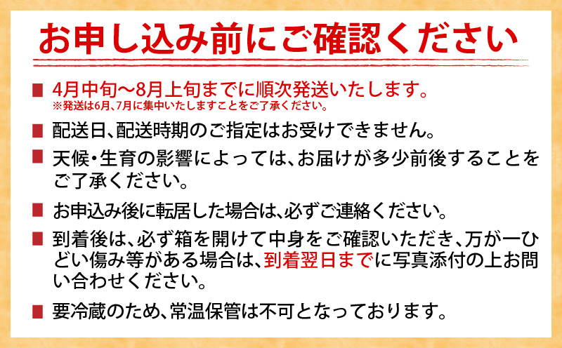 宮崎県日南市のふるさと納税 数量限定 日南市産 完熟 マンゴー 2L以上×2玉 フルーツ 果物 果汁 希少 濃厚 ジューシー 贅沢 上質 ご褒美 人気 国産 食品 おやつ デザート 産地直送 おすすめ ギフト プレゼント 贈り物 お土産 手土産 南国 宮崎県 送料無料_BD94-24