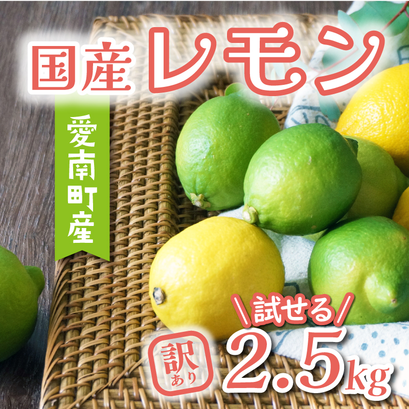 訳あり レモン 2.5kg 5000円 柑橘 サイズ 不揃い 家庭用 檸檬 国産 れもん フルーツ 果物 果実 産地直送 農家直送 数量限定 期間限定  特産品 瀬戸内 ワックス 防腐剤 不使用 果汁 人気 新鮮 少量 お試し レモネード 塩レモン レモン酢 レモンソース