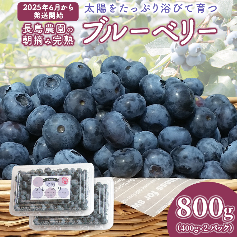 令和7年度生ブルーベリー★6㎏(送料込み) 東京産】【予約商品】フレッシュ生ブルーベリー400g（100g×4
