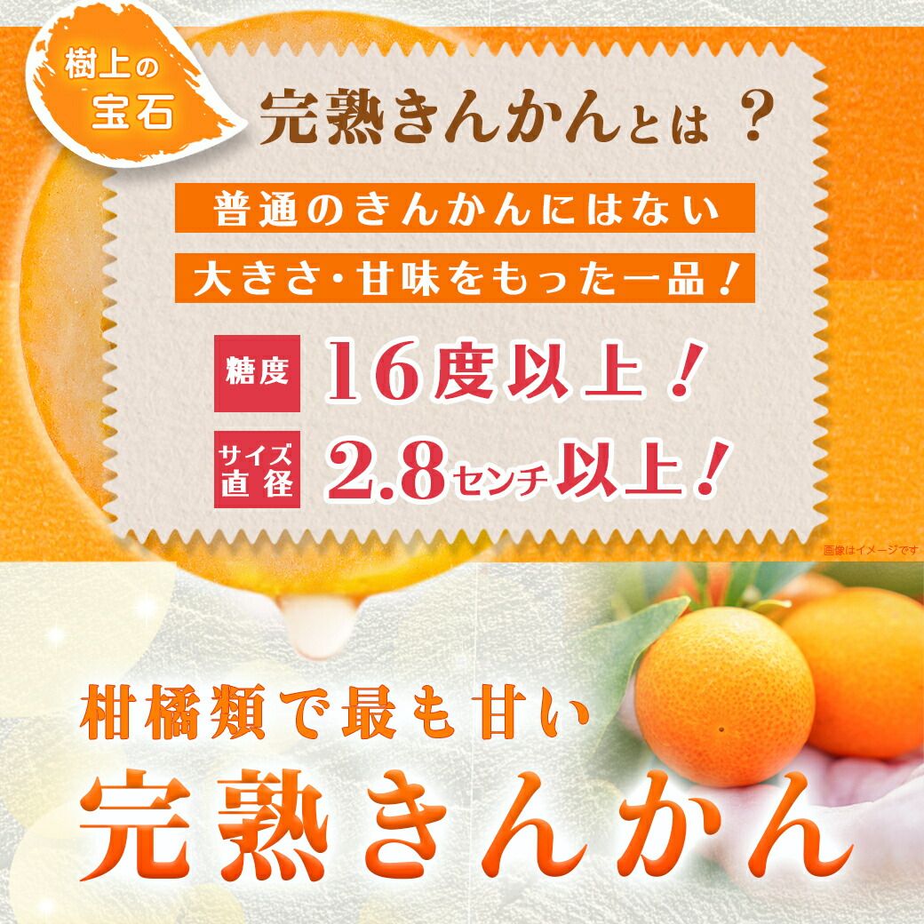 宮崎県都城市のふるさと納税 【2月～3月お届け】都城産完熟きんかん 家庭用2kg (2Lサイズ)_13-B501