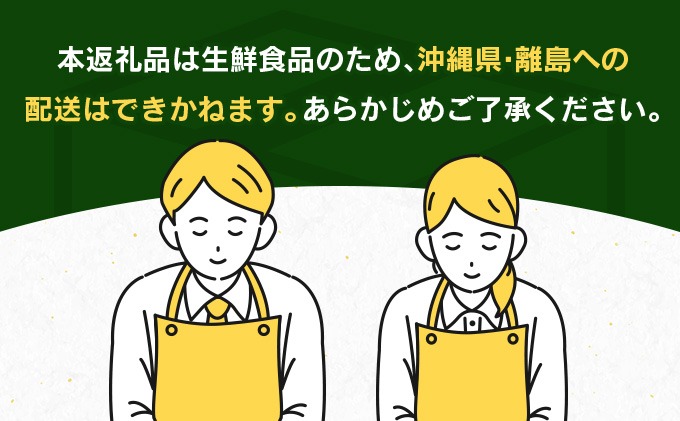 宮崎県日南市のふるさと納税 訳あり 数量限定 日南市産 完熟マンゴー 6玉～10玉 約2.8kg 期間限定 フルーツ 果物 くだもの 国産 食品 デザート おやつ フルーツサンド おすすめ 2025年 ご褒美 贅沢 産地直送 規格外 おすそ分け 家庭用 冷蔵 宮崎県 日南市 送料無料_F77-24
