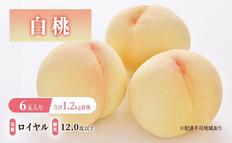 桃 2025年 先行予約 白桃 3玉 合計約800g もも モモ 岡山県産 桃 2025年 先行予約 白桃 3玉 合計約800g もも モモ 岡山県産