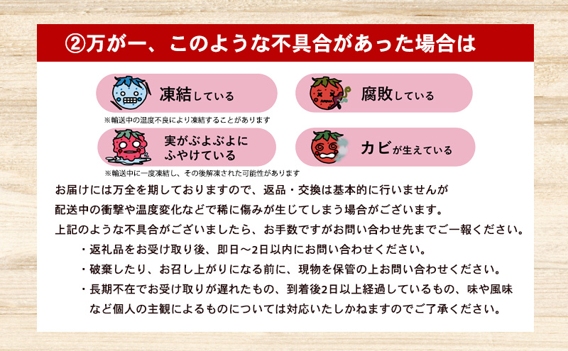 滋賀県米原市のふるさと納税 希少品種黒色いちご「真紅の美鈴（しんくのみすず）」 いちご 黒いちご 本州限定 苺 イチゴ 果物 フルーツ くだもの 国産