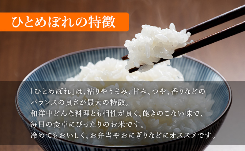 令和6年新米】宮城県産ひとめぼれ 30㎏玄米