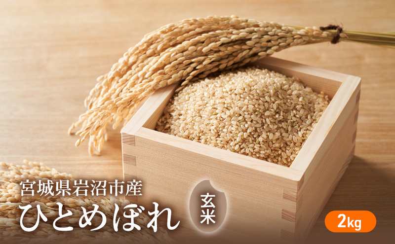 令和6年度産 ひとめぼれ玄米2kg 宮城県 岩沼市 玄米 お米 米
