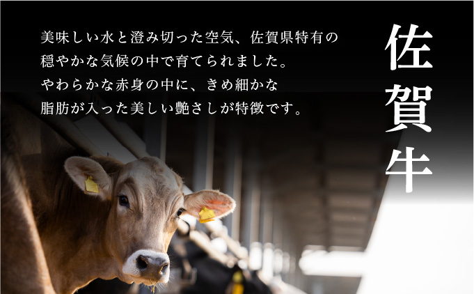 佐賀県大町町のふるさと納税 ＜定期便12回＞佐賀牛はしっこちゃん(ロース・カルビ) 計6kg (500g×12回)