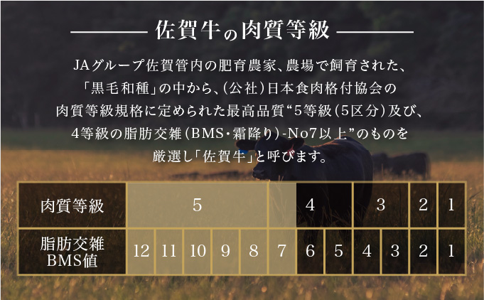 佐賀県大町町のふるさと納税 ＜定期便12回＞佐賀牛はしっこちゃん(ロース・カルビ) 計6kg (500g×12回)