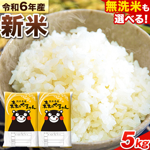 令和6年産 新米 無洗米 も 選べる 森のくまさん 5kg × 1袋 白米 熊本県産 単一原料米 森くま[11月-12月より出荷予定][精米方法をお選びください]送料無料