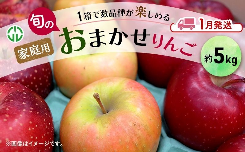 りんご 【 1月発送 】 家庭用 旬のりん