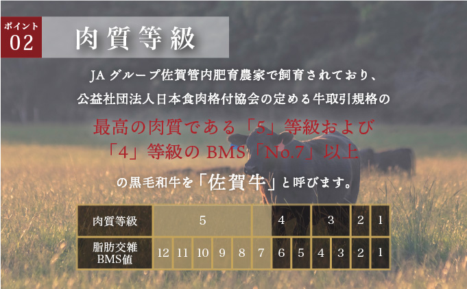 佐賀県大町町のふるさと納税 佐賀牛ローススライス 1kg (500g×2パック)