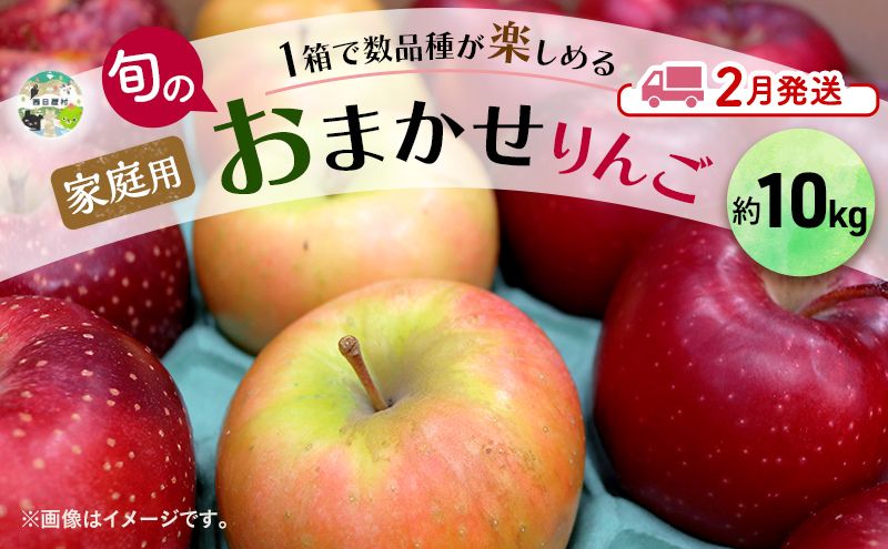 りんご 【 2月発送 】 家庭用 旬のりん