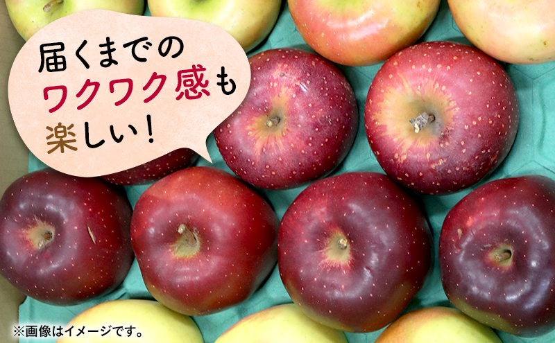 青森県西目屋村のふるさと納税 りんご 【 2月発送 】 家庭用 旬のりんご 品種おまかせ 約 10kg 2種類～4種類