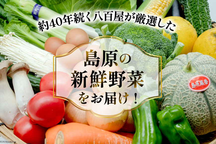 長崎県島原市のふるさと納税 BF057 【3回定期便】旬の野菜・フルーツ (12〜14品目)・卵 (6個) おまかせ セット【 野菜 果物 卵 やさい くだもの 果物 タマゴ たまご 詰め合わせ 江戸屋 長崎県 島原市 】