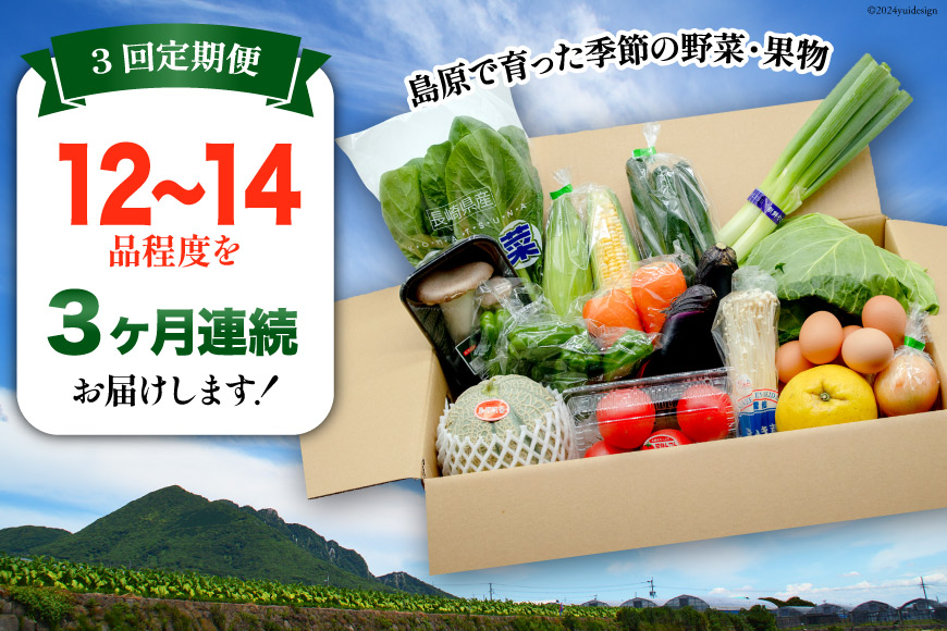 長崎県島原市のふるさと納税 BF057 【3回定期便】旬の野菜・フルーツ (12〜14品目)・卵 (6個) おまかせ セット【 野菜 果物 卵 やさい くだもの 果物 タマゴ たまご 詰め合わせ 江戸屋 長崎県 島原市 】