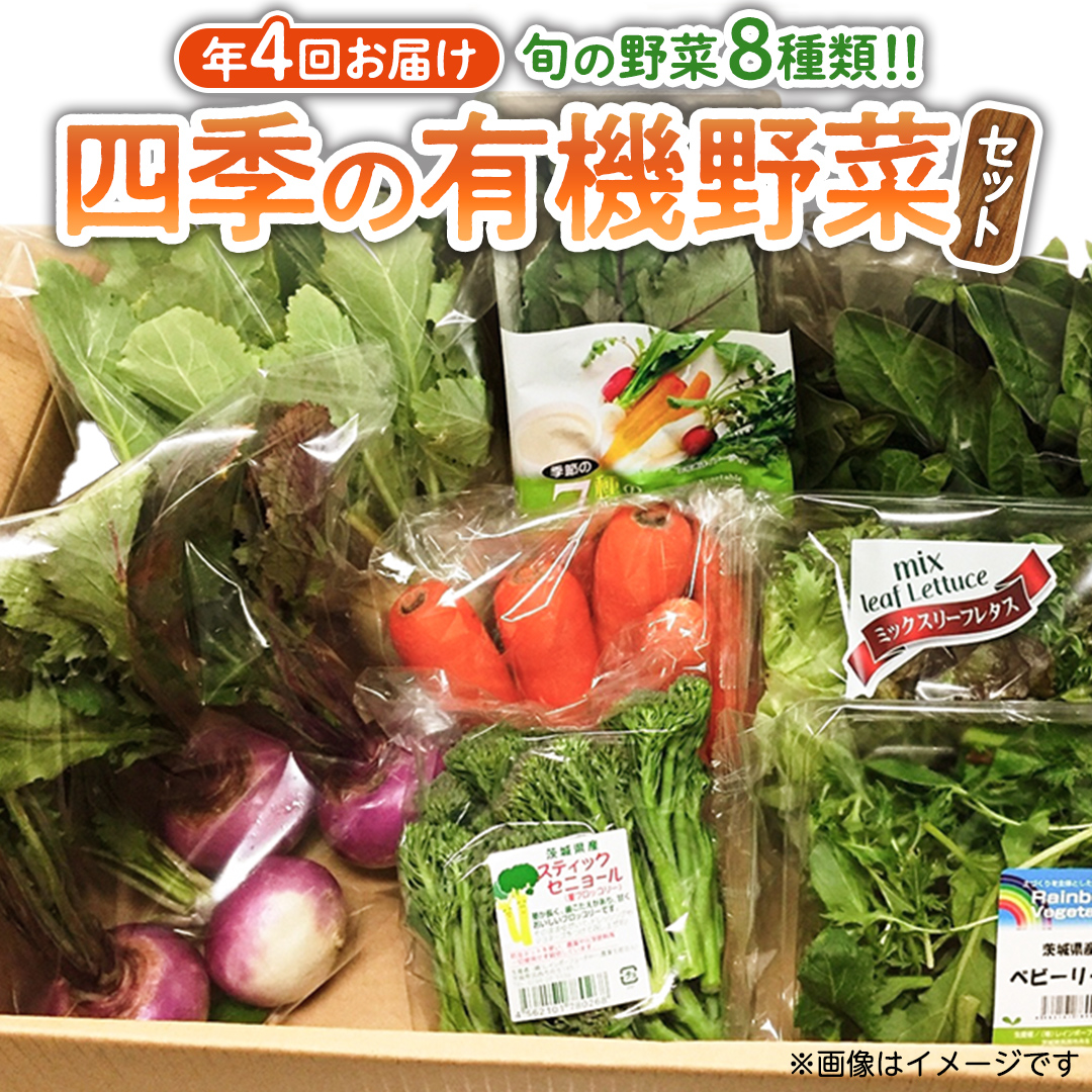 茨城県筑西市のふるさと納税 【 定期便 年4回お届け！】四季の 有機野菜 色とりどりセット 野菜 野菜セット 詰め合わせ 有機 無農薬 JAS認定 無化学肥料 おまかせ 野菜スティック レインボーフューチャー [AL001ci]