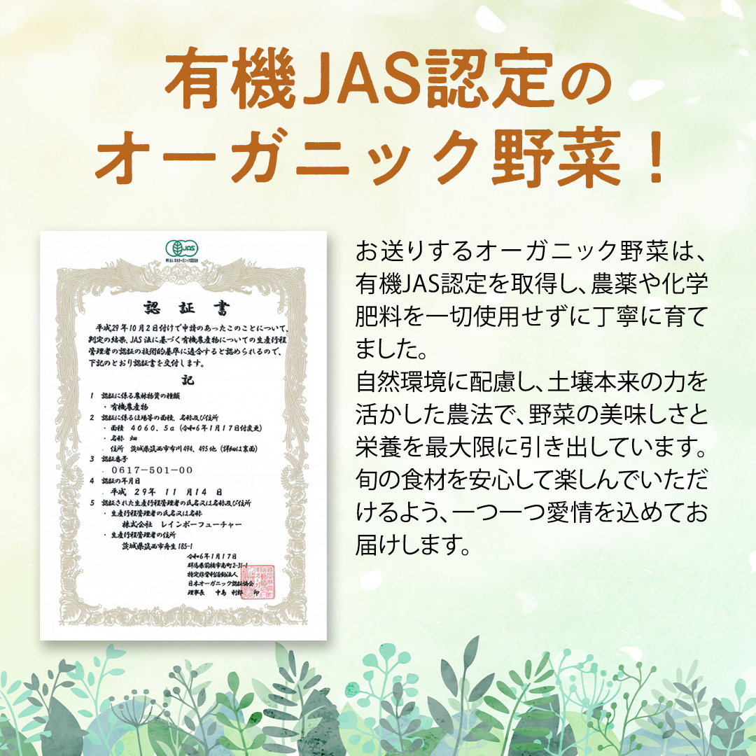 茨城県筑西市のふるさと納税 【 定期便 年4回お届け！】四季の 有機野菜 色とりどりセット 野菜 野菜セット 詰め合わせ 有機 無農薬 JAS認定 無化学肥料 おまかせ 野菜スティック レインボーフューチャー [AL001ci]